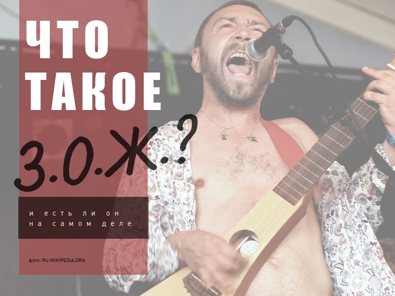 Что такое зож?